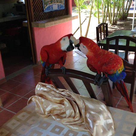 Hotel El Paraiso Escondido - Costa Rica Jacó Екстериор снимка