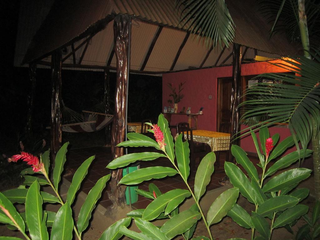 Hotel El Paraiso Escondido - Costa Rica Jacó Екстериор снимка