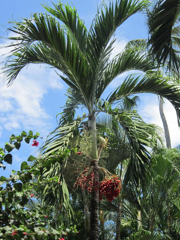 Hotel El Paraiso Escondido - Costa Rica Jacó Екстериор снимка