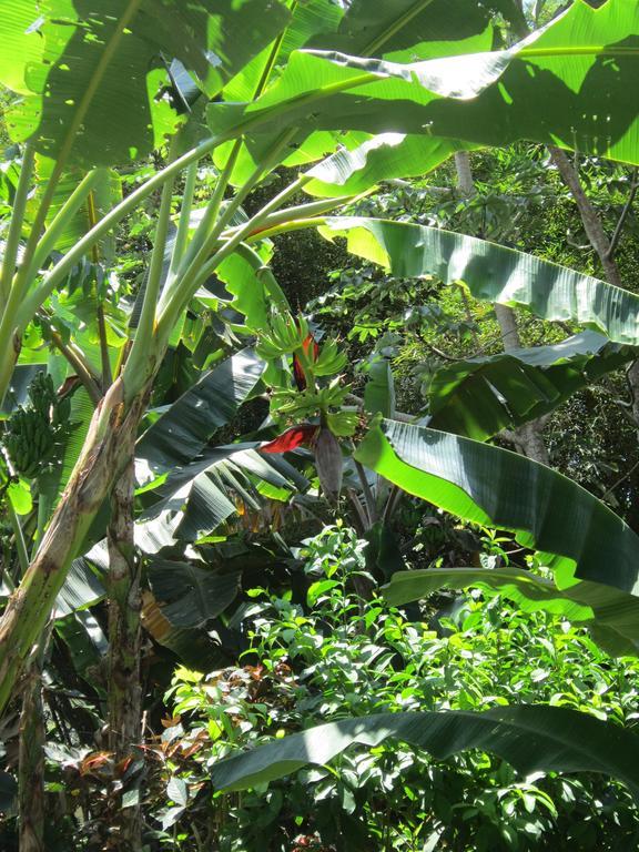 Hotel El Paraiso Escondido - Costa Rica Jacó Екстериор снимка
