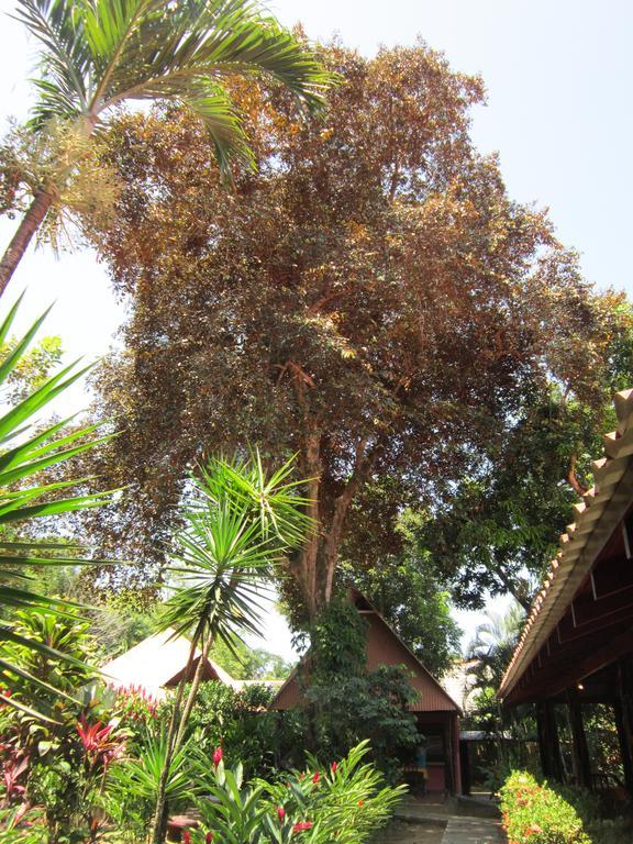 Hotel El Paraiso Escondido - Costa Rica Jacó Стая снимка