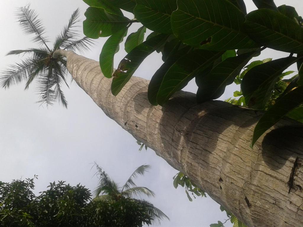 Hotel El Paraiso Escondido - Costa Rica Jacó Екстериор снимка