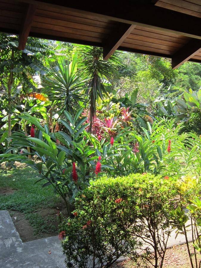 Hotel El Paraiso Escondido - Costa Rica Jacó Екстериор снимка