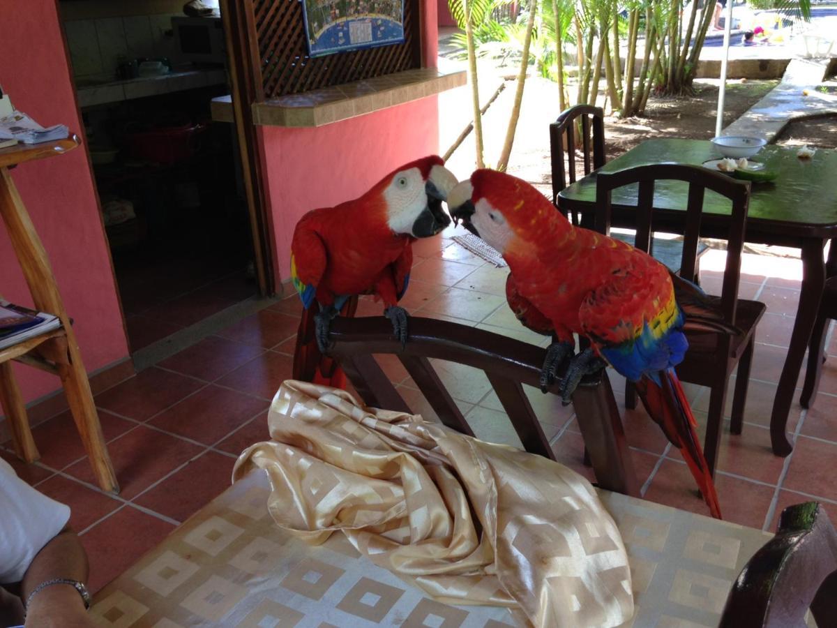Hotel El Paraiso Escondido - Costa Rica Jacó Екстериор снимка